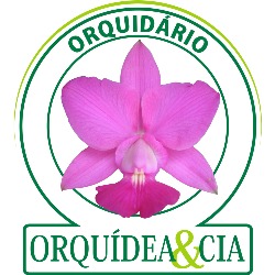 Orquidário Orquídea & Cia de Valinhos