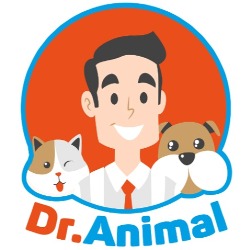 Dr. Animal - Hospital Veterinário 24h