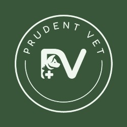 PRUDENT VET | Clínica Veterinária