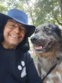 Passeador de Cães