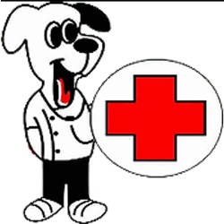 Clínica Veterinária Pampulha - Veterinário em BH