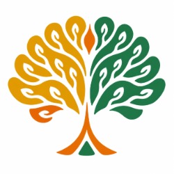 ÁVORA | Neuroreabiltação e Longevidade Ativa  | Fisioterapia e Pilates em Itabuna