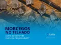 Manejo de morcegos