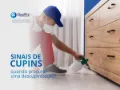 Descupinização