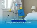 Tratamento preventivo contra cupins