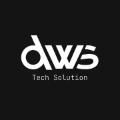 dws tech solution